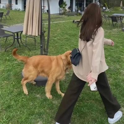娜露和贝塔